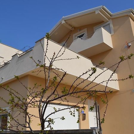 Apartments Danijela Zadar Extérieur photo